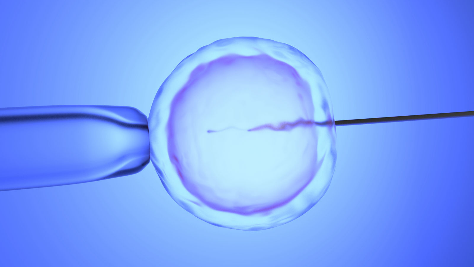 Close-up illustration of an in-vitro fertilization (IVF) procedure, showing a needle injected into an egg cell.